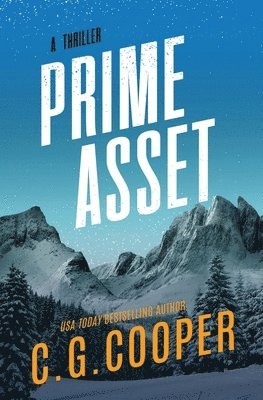bokomslag Prime Asset