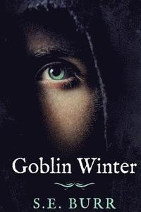 bokomslag Goblin Winter