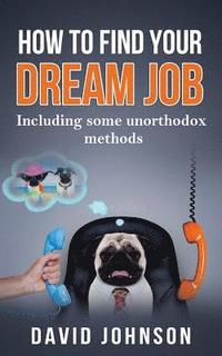 bokomslag How to Find Your Dream Job: Including Some Unorthodox Methods