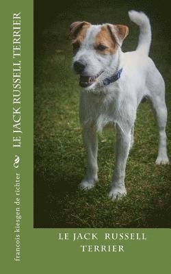 jack russell terrier 1