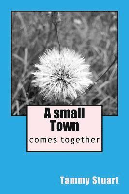 bokomslag A small Town: comes together