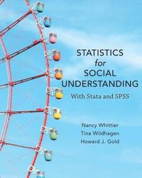 bokomslag Statistics for Social Understanding