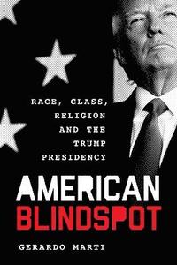 bokomslag American Blindspot