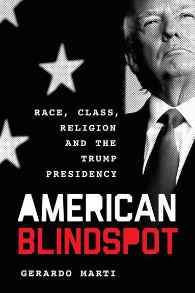 bokomslag American Blindspot