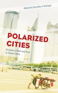 bokomslag Polarized Cities