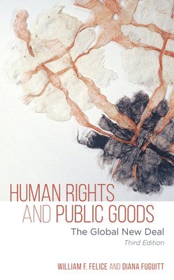 Human Rights and Public Goods 1