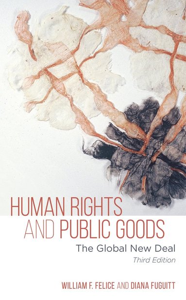 bokomslag Human Rights and Public Goods