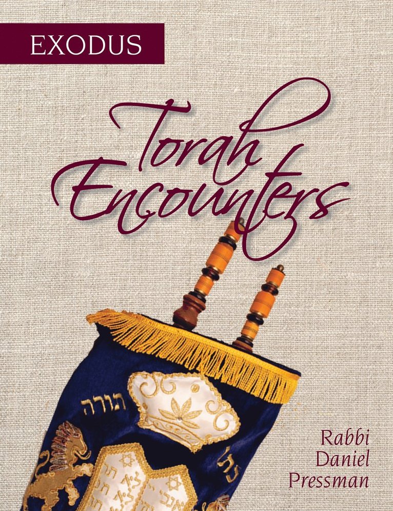 Rabbi Daniel Pressman - Torah Encounters, Häftad