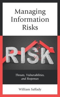 bokomslag Managing Information Risks
