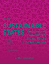 bokomslag Sustainable States