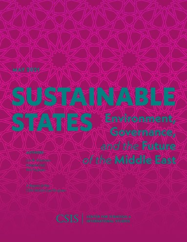 bokomslag Sustainable States