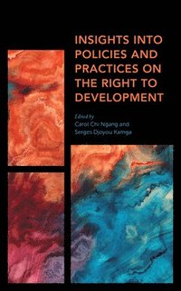 bokomslag Insights into Policies and Practices on the Right to Development
