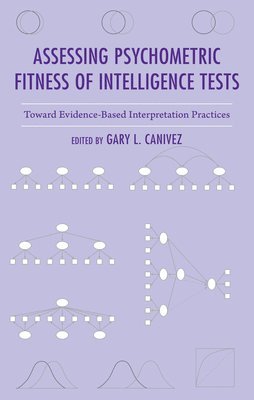 bokomslag Assessing Psychometric Fitness of Intelligence Tests