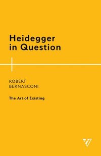 bokomslag Heidegger in Question