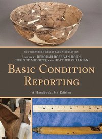 bokomslag Basic Condition Reporting