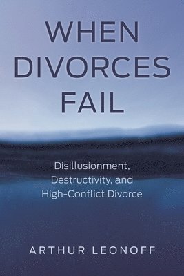 bokomslag When Divorces Fail