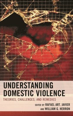 bokomslag Understanding Domestic Violence