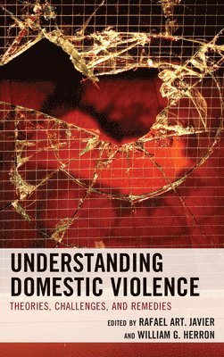 Understanding Domestic Violence 1
