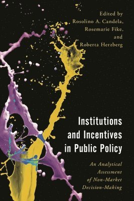 bokomslag Institutions and Incentives in Public Policy