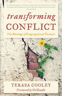 bokomslag Transforming Conflict