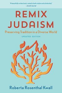bokomslag Remix Judaism