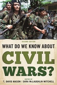 bokomslag What Do We Know about Civil Wars?
