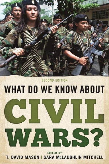 bokomslag What Do We Know about Civil Wars?