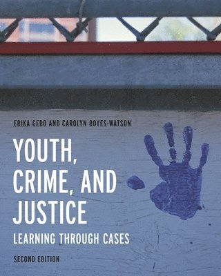 bokomslag Youth, Crime, and Justice