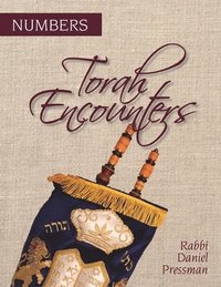 bokomslag Torah Encounters