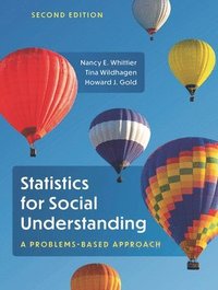 bokomslag Statistics for Social Understanding