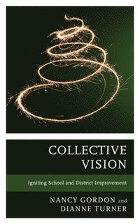 bokomslag Collective Vision