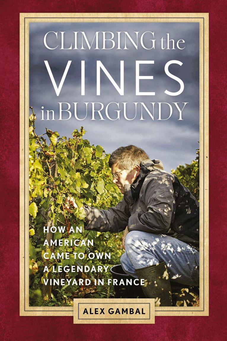 Alex Gambal - Climbing the Vines in Burgundy, Häftad