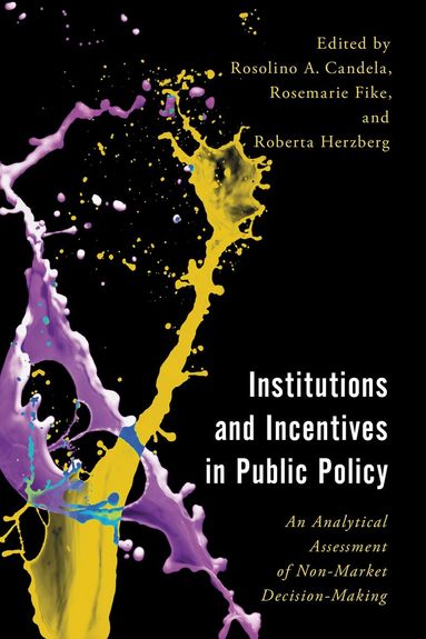 Rosolino A. Candela, Rosemarie Fike, Roberta Herzberg - Institutions and Incentives in Public Policy, Häftad