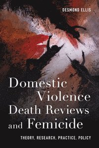 bokomslag Domestic Violence Death Reviews and Femicide