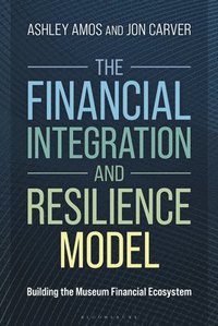 bokomslag Financial Integration and Resilience Model