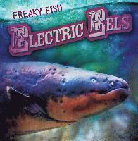 bokomslag Morlock, T: Electric Eels