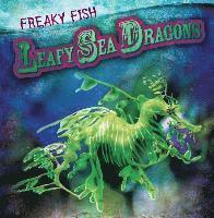 bokomslag Leafy Sea Dragons