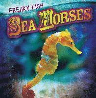 bokomslag Sea Horses