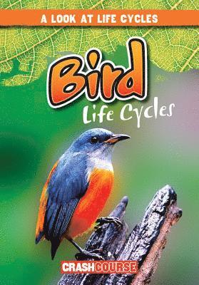 Bray Jacobson - Bird Life Cycles, Häftad. Tillgänglighet: Tillfälligt slut