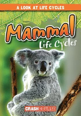 bokomslag Mammal Life Cycles