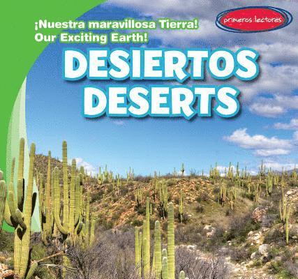 Claire Romaine - Desiertos / Deserts, Inbunden