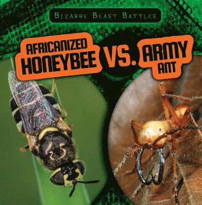 Therese M. Shea - Africanized Honeybee vs. Army Ant, Häftad