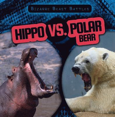 Hippo vs. Polar Bear 1