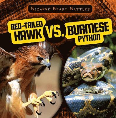 Theresa Morlock - Red-Tailed Hawk vs. Burmese Python, Häftad