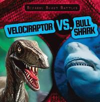 bokomslag Velociraptor vs. Bull Shark
