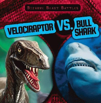 Velociraptor vs. Bull Shark 1