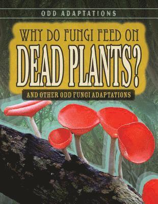 Janey Levy - Why Do Fungi Feed on Dead Plants?: And Other Odd Fungi Adaptations, Häftad. Tillgänglighet: Lägg i varukorg