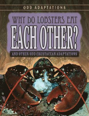 Therese M. Shea - Why Do Lobsters Eat Each Other?: And Other Odd Crustacean Adaptations, Häftad. Tillgänglighet: Lägg i varukorg