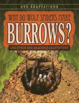 Meghan Sharif - Why Do Wolf Spiders Make Burrows?: And Other Odd Arachnid Adaptations, Häftad
