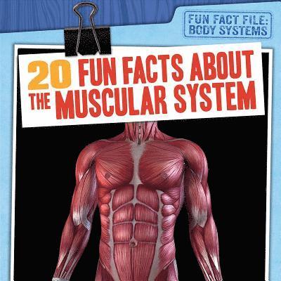 Tayler Cole - 20 Fun Facts about the Muscular System, Inbunden